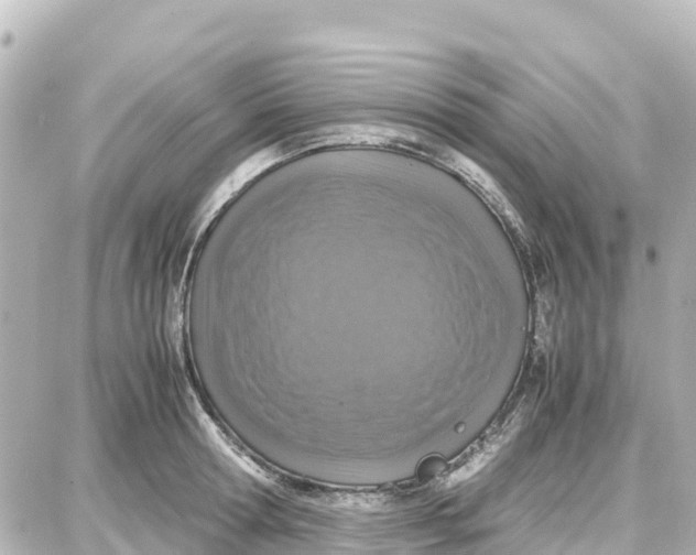 X0000087690802200705251707