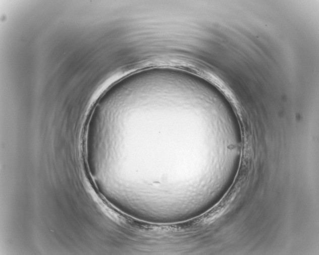 X0000087690803200705251707