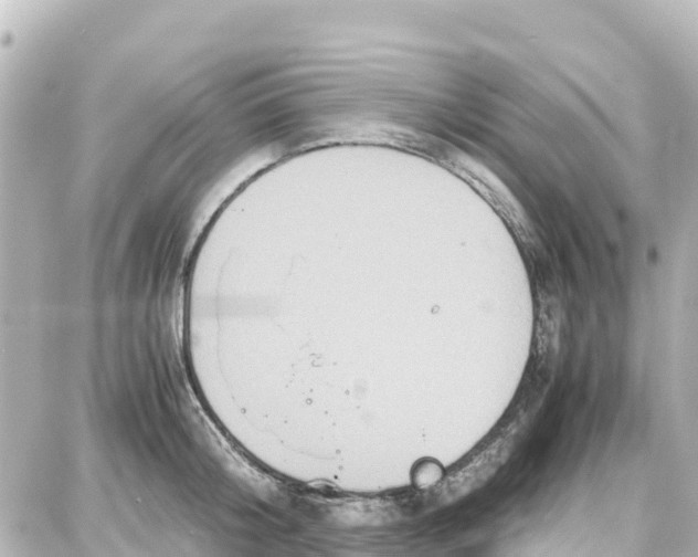 X0000087690804200705251707