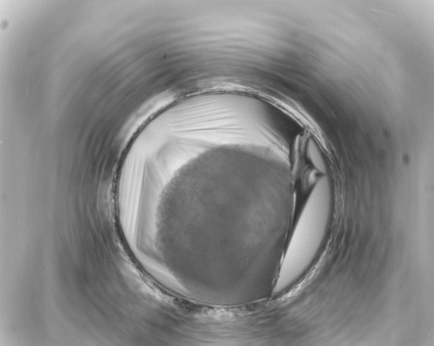 X0000087690806200705251707