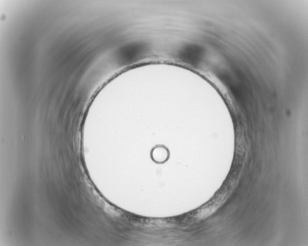 X0000087690807200705251707