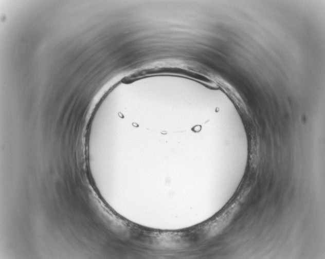 X0000087690808200705251707