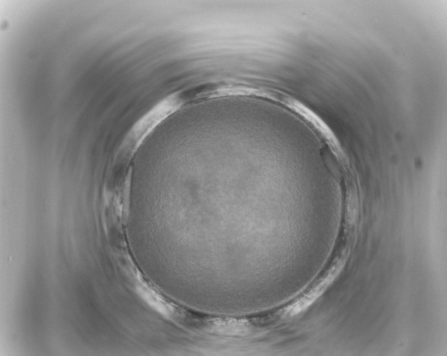 X0000087690809200705251707