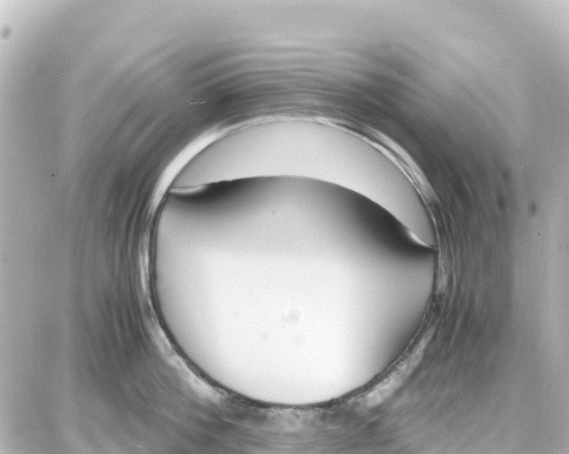 X0000087690812200705251707