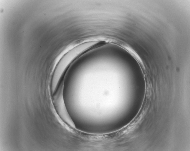 X0000087690813200705251707