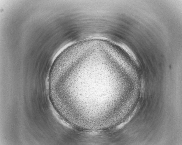 X0000087690814200705251707