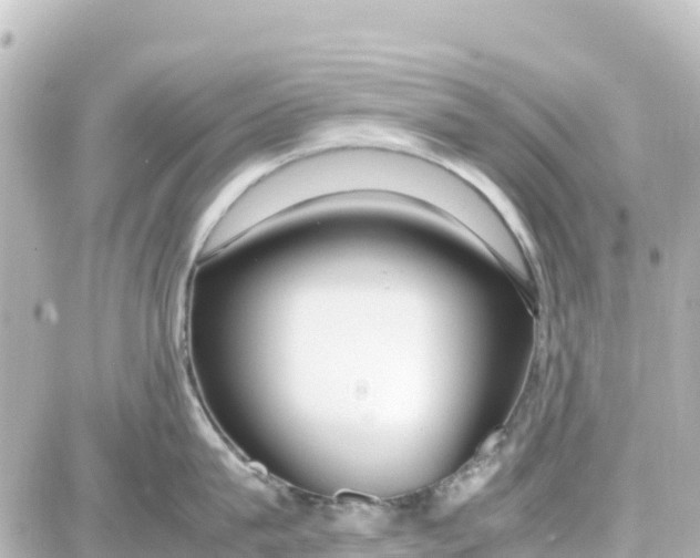 X0000087690815200705251707