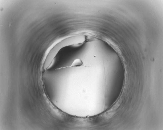 X0000087690816200705251707