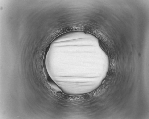 X0000087690817200705251706