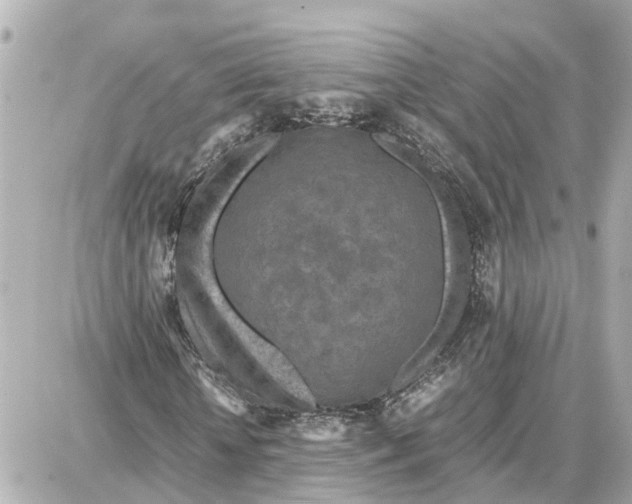 X0000087690818200705251706