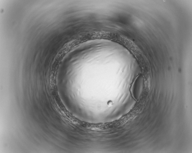 X0000087690819200705251706