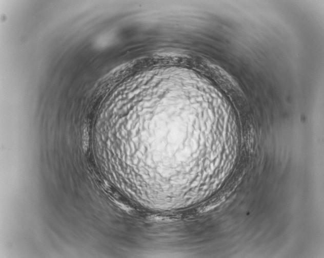 X0000087690821200705251706