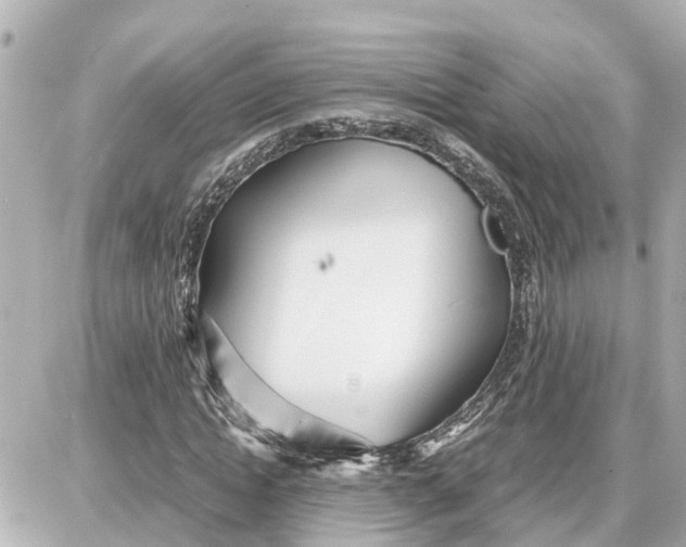 X0000087690822200705251706