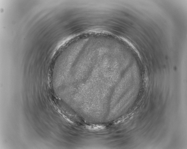 X0000087690823200705251706