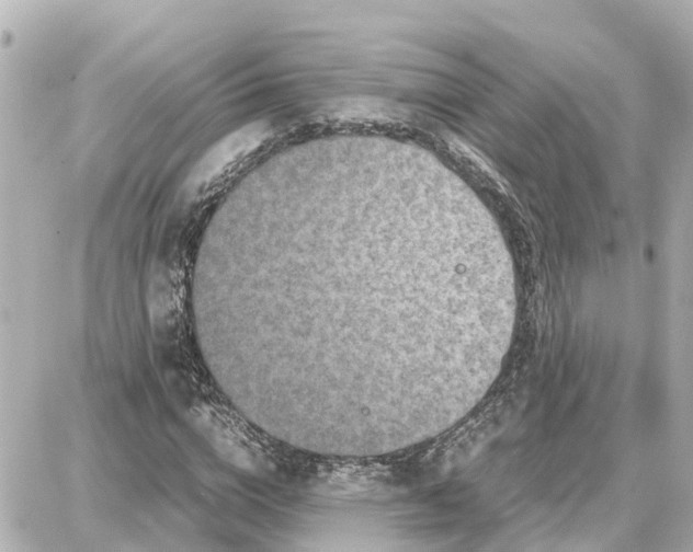 X0000087690824200705251706