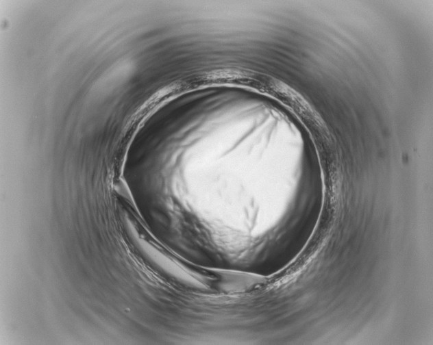 X0000087690825200705251706