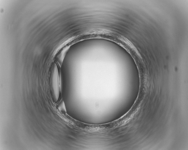 X0000087690826200705251706