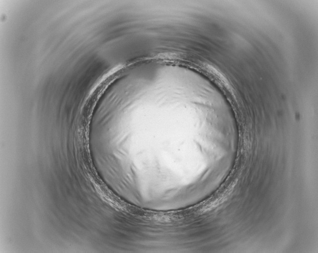 X0000087690827200705251706