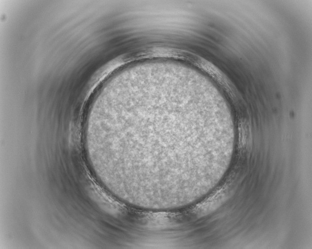 X0000087690828200705251706