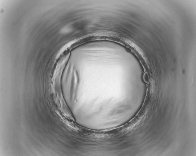 X0000087690829200705251706