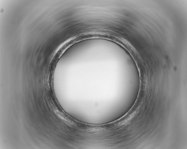 X0000087690830200705251706