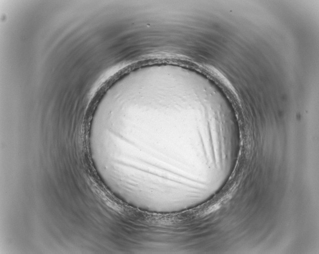 X0000087690831200705251706