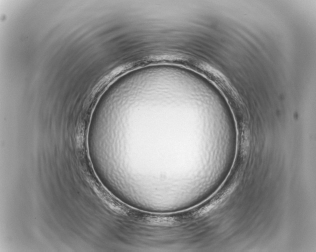 X0000087690833200705251706