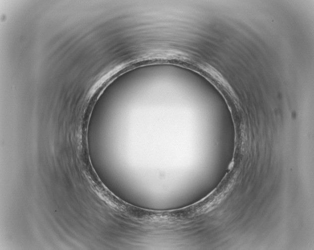 X0000087690834200705251706