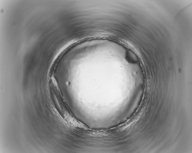 X0000087690835200705251706