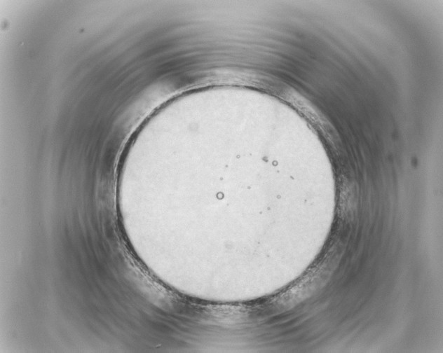 X0000087690836200705251706