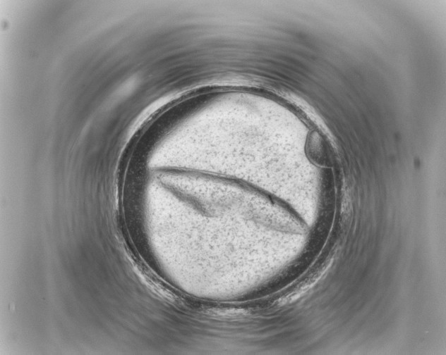 X0000087690837200705251706