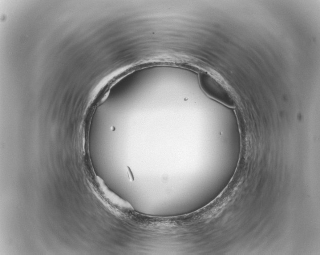 X0000087690838200705251706