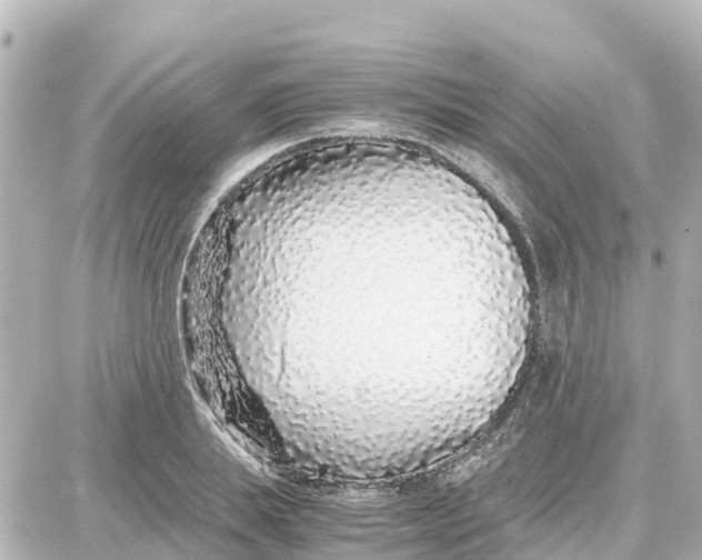 X0000087690839200705251706