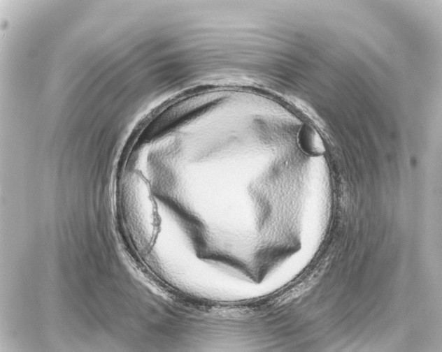 X0000087690840200705251706