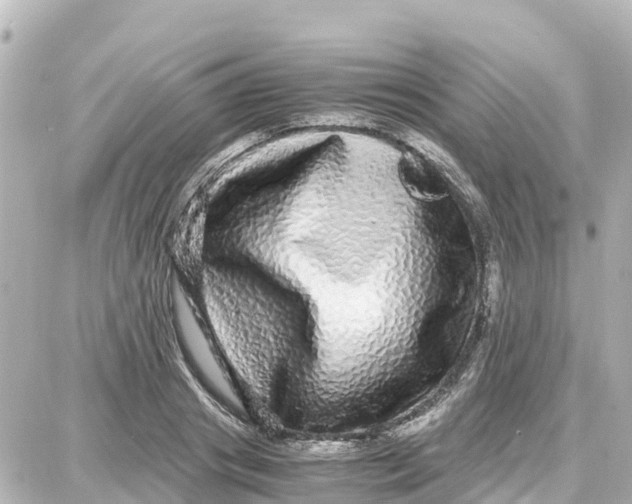 X0000087690841200705251706