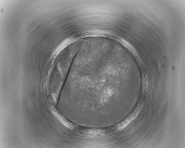 X0000087690842200705251707