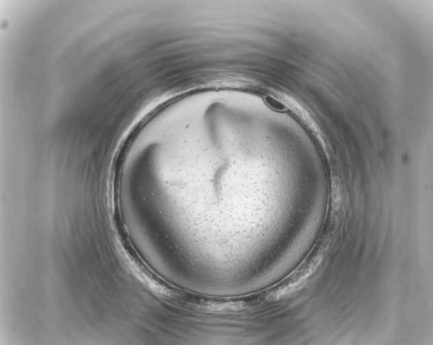 X0000087690843200705251707