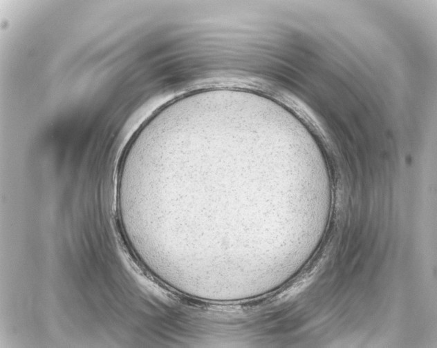 X0000087690844200705251707