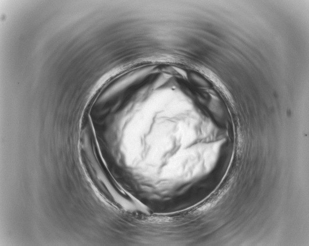 X0000087690845200705251707