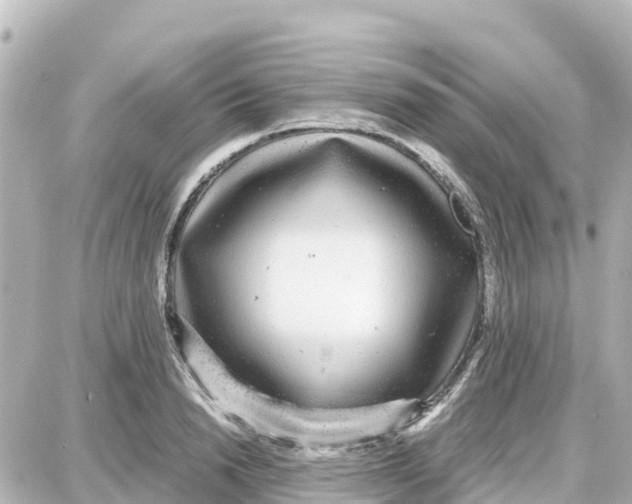 X0000087690846200705251707