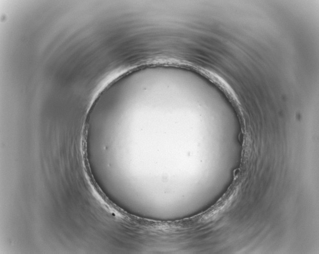 X0000087690847200705251707