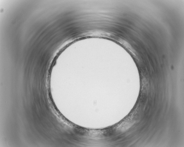 X0000087690848200705251707