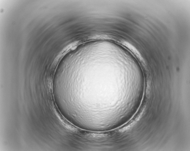 X0000087690849200705251707