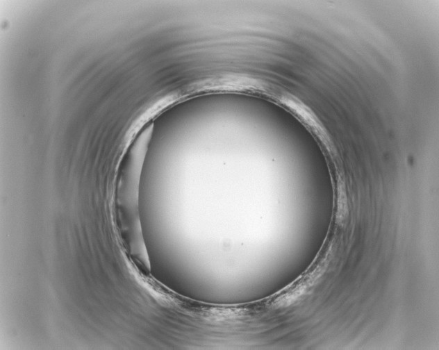 X0000087690850200705251707