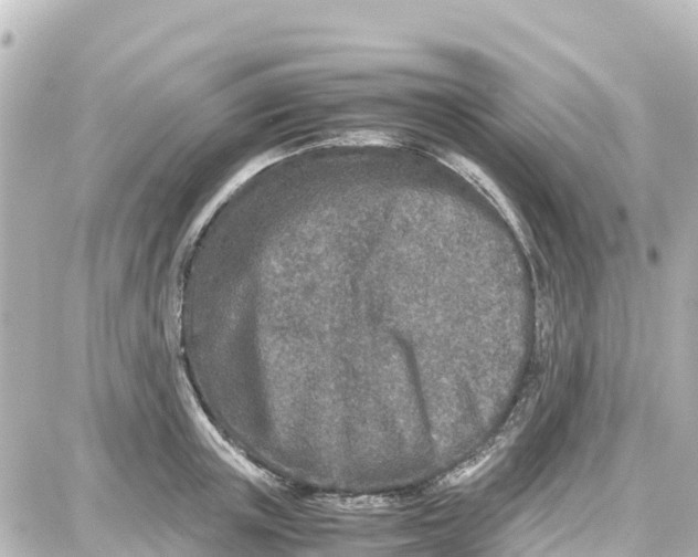 X0000087690851200705251707