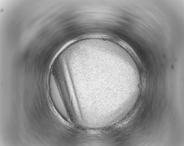 X0000087690852200705251707