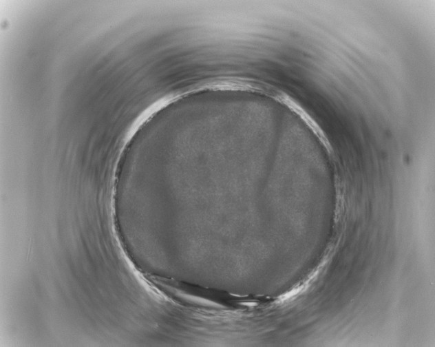 X0000087690853200705251707