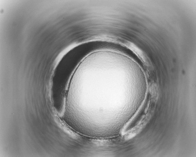 X0000087690854200705251707