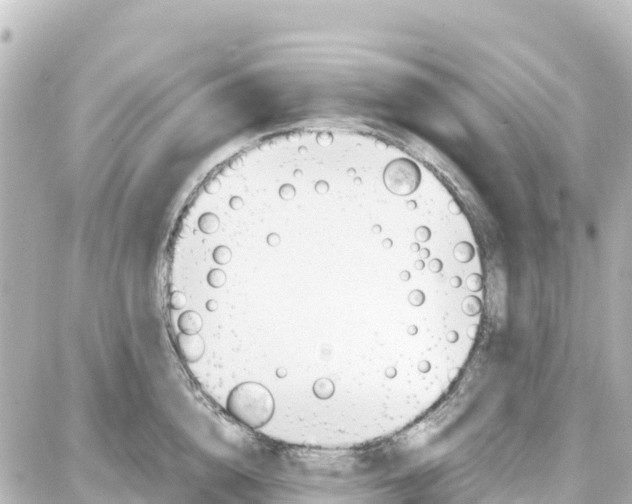 X0000087690856200705251707