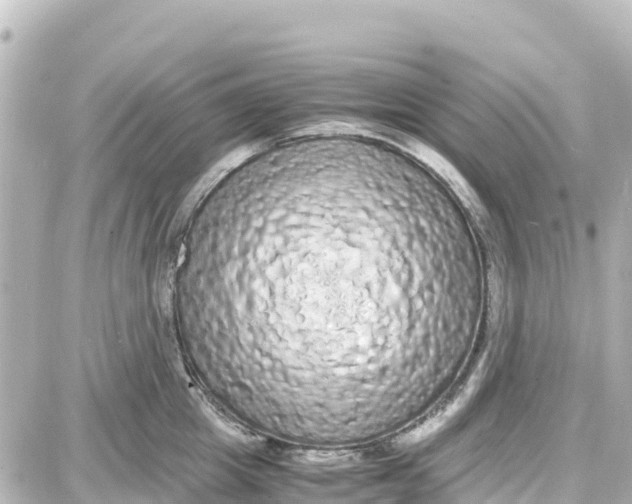 X0000087690857200705251707